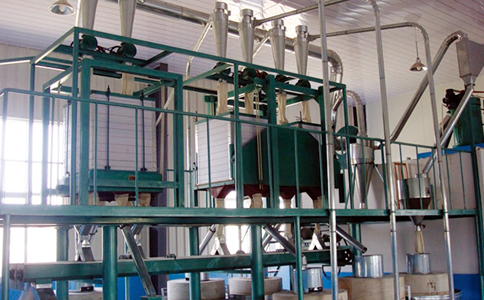 �����ӹ��O��